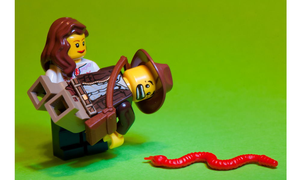 5114935852_0ff2a7837e_o (1)