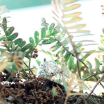  / Credits: Photos by Trent Bailey